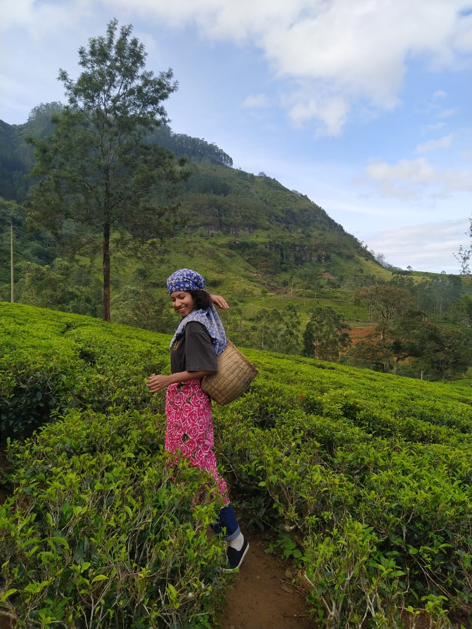 Day Tour to Nuwara Eliya. Enjoy stunning views of waterfalls and endless tea plantations on your journey to the charming, English-influenced town of Nuwara Eliya. Visit a local tea plantation to discover how the world-famous Ceylon tea is produced.